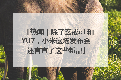 热闻｜除了玄戒o1和YU7，小米这场发布会还官宣了这些新品